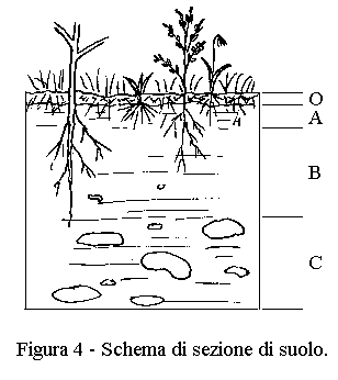 Profilo di suolo